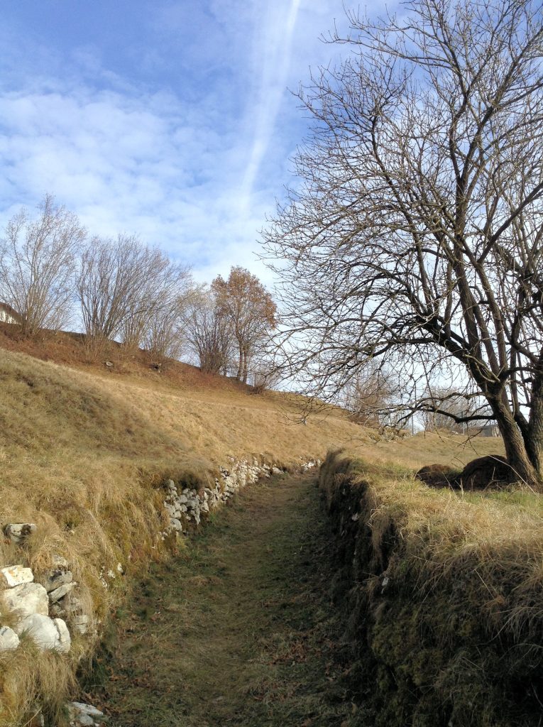 Vecchio Sentiero Col De Mich