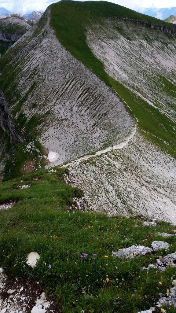 Col di Luna - Vette Feltrine