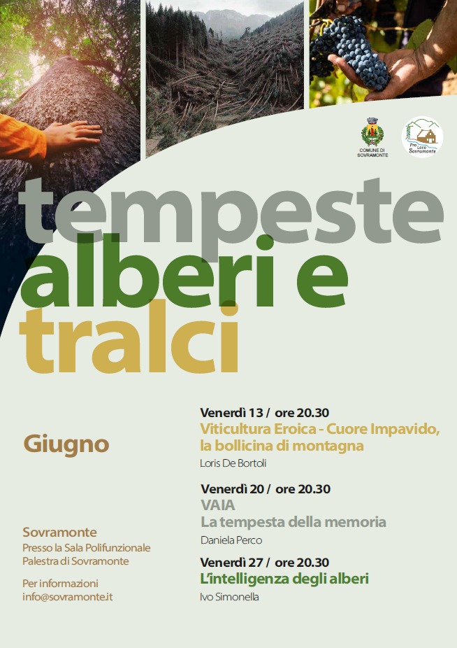 WhatsApp Image 2025-05-29 at 09.58.35 Immagine anteprima