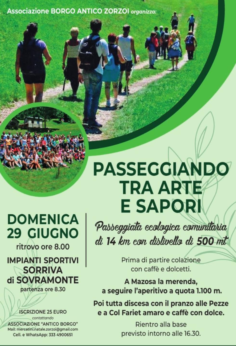 Immagine anteprima