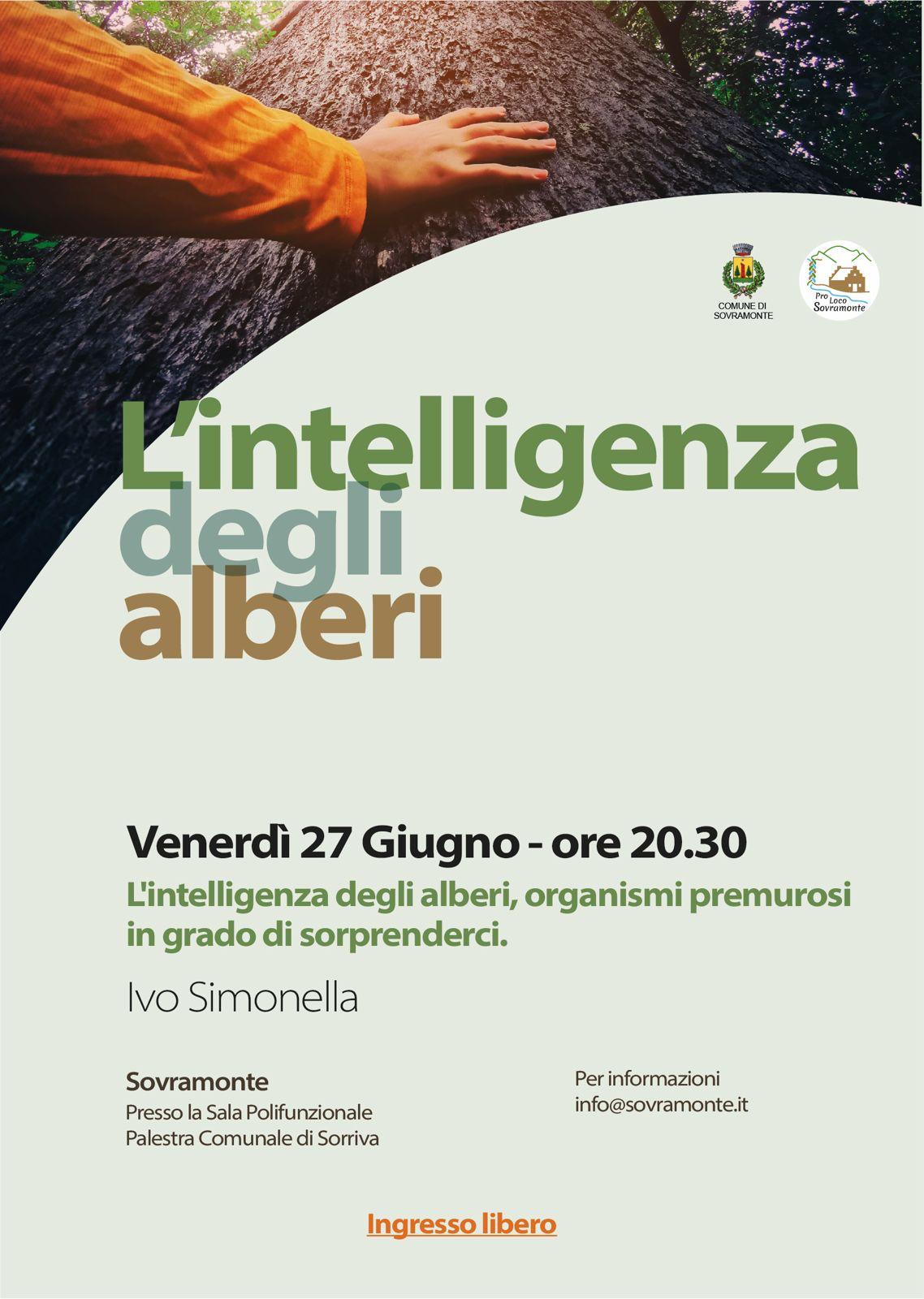 Immagine anteprima