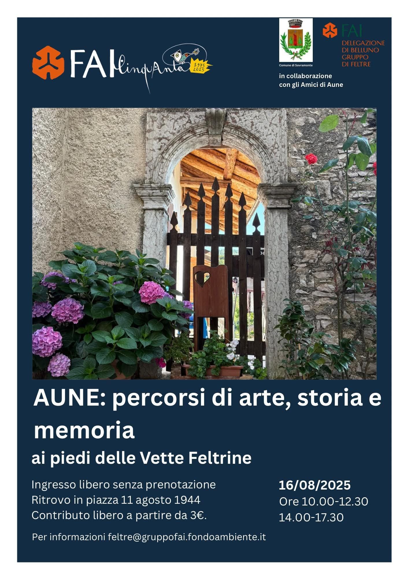 Immagine anteprima
