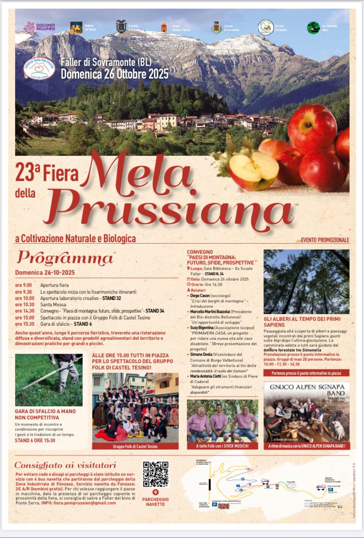 Immagine anteprima