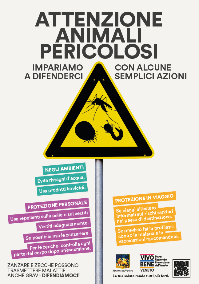 Immagine anteprima