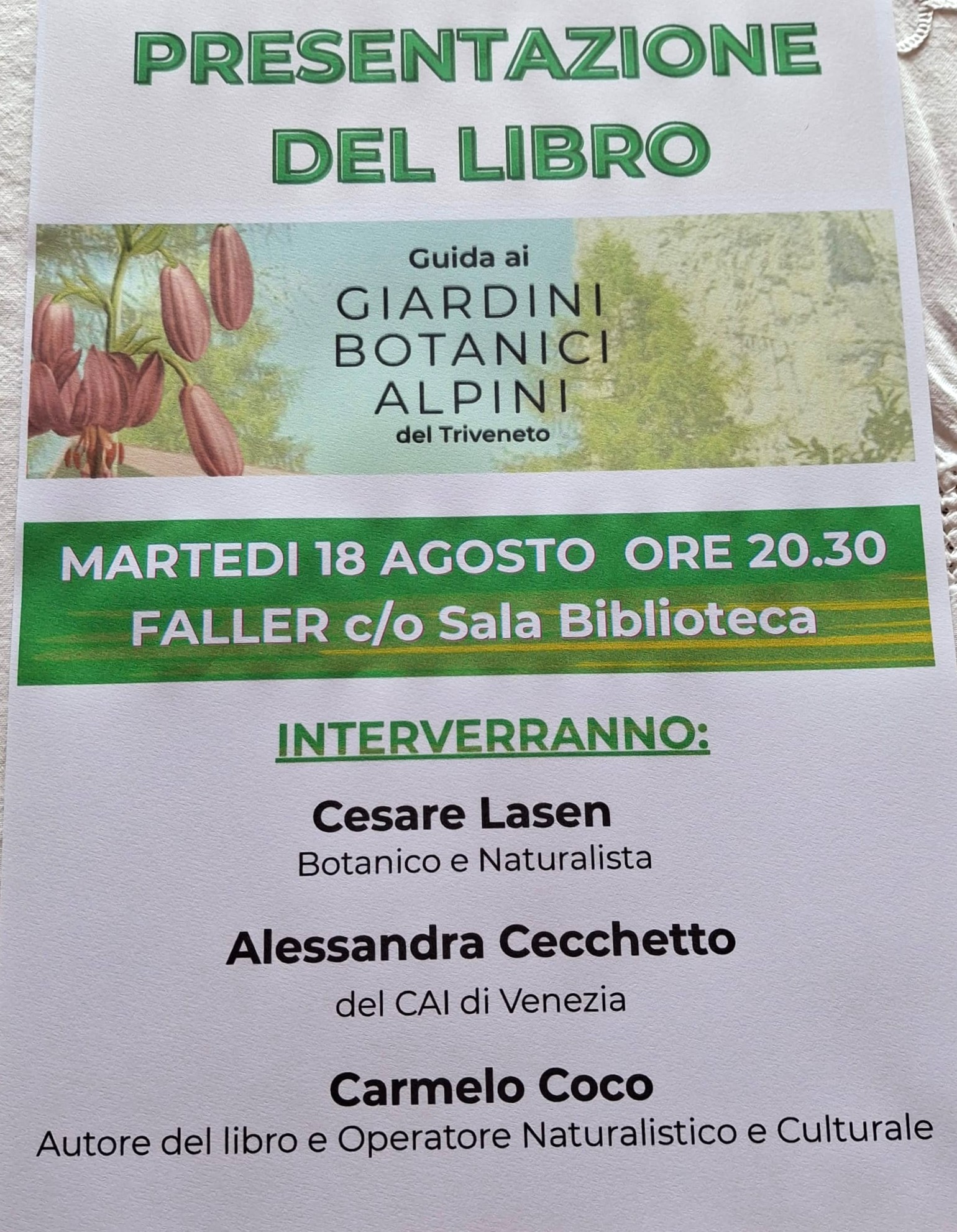 Immagine anteprima